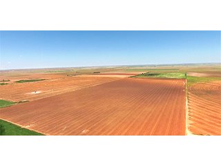 Tract 3 - LAND AUCTION - 658+/- ACRES OFFERED IN 5 TRACTS IN HOCKLEY CO.. TEXAS